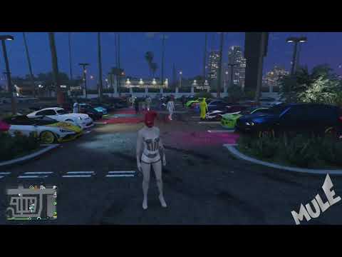GTA ONLINE Raduni quelli belli