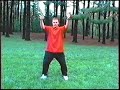 Universal Tai Chi With Lawrence Earl 1996