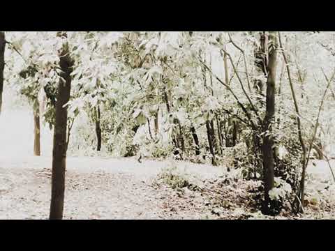 Dödsrit - Ändlösa ådror