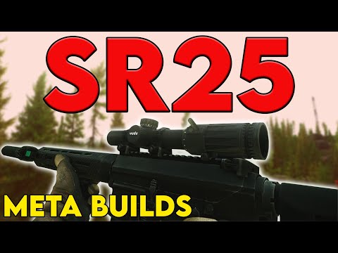SR-25 - Meta Build Series 0.15