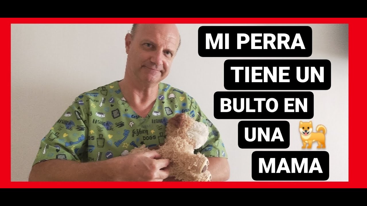 Watch Mi perra tiene un bulto en una mama. Now Mi perra tiene un bulto en una mama.