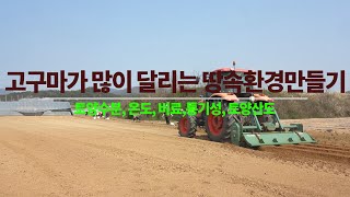 땅속환경이 좋아야 고구마가 많이 달린다. 토양수분, 온도, 비료량, 통기성,  토양산도의 적정한 조건과 관리…
