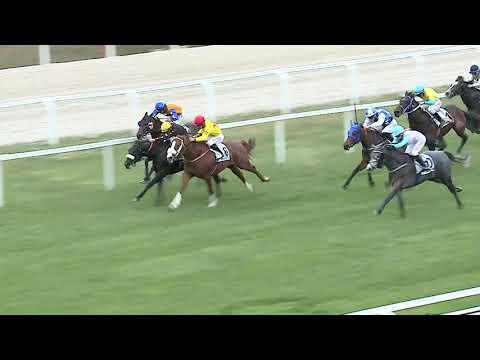 2025.04.13. 4. Futam - GRÓF ERDŐDY RUDOLF EMLÉKVERSENY (I.kat.)