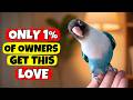 6 Rare Behaviors Bird Show ONLY When They Love You Deeply