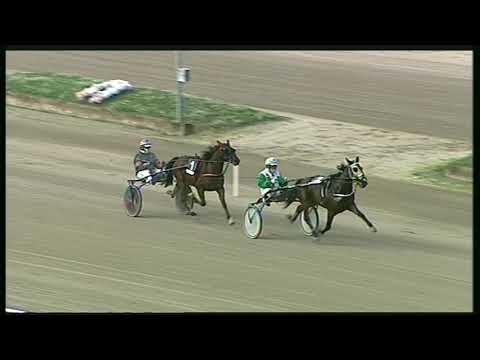 Trotto 15/11/2020 - prova di qualifica