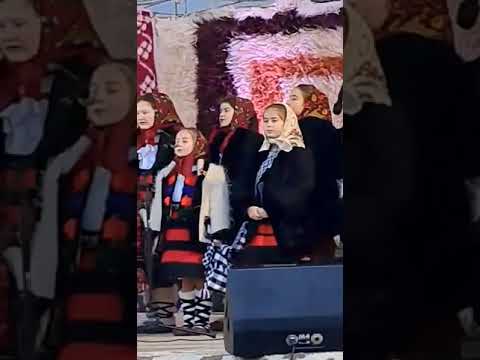 Pruncii din Bârsana la colindă in Ocna Sugatag, alaturi de părintele Marcel Oprișan și Anastasia.