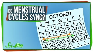 Do Menstrual Cycles Really Sync Up?