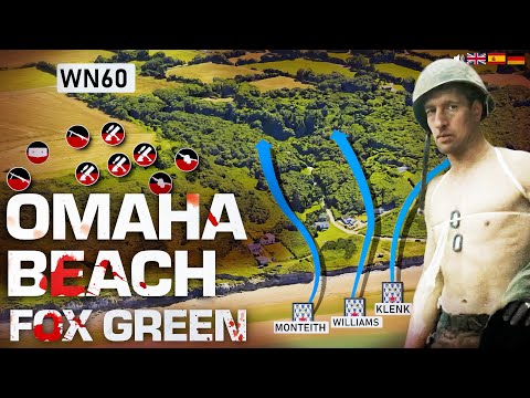 The 1st US Infantry Division on Omaha Beach (No AI WW2 Documentary)