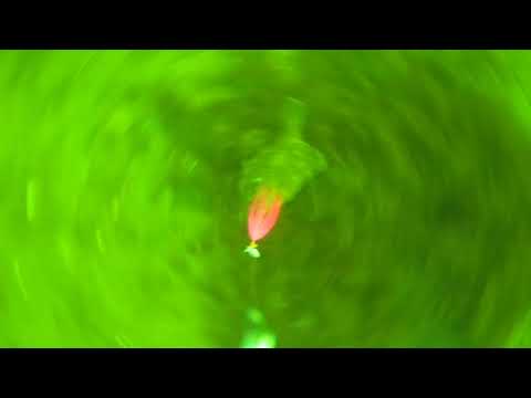 Plattfischangeln mit Flunderwunder in der Ostsee, Unterwasservideo mit WaterWolf 2.0