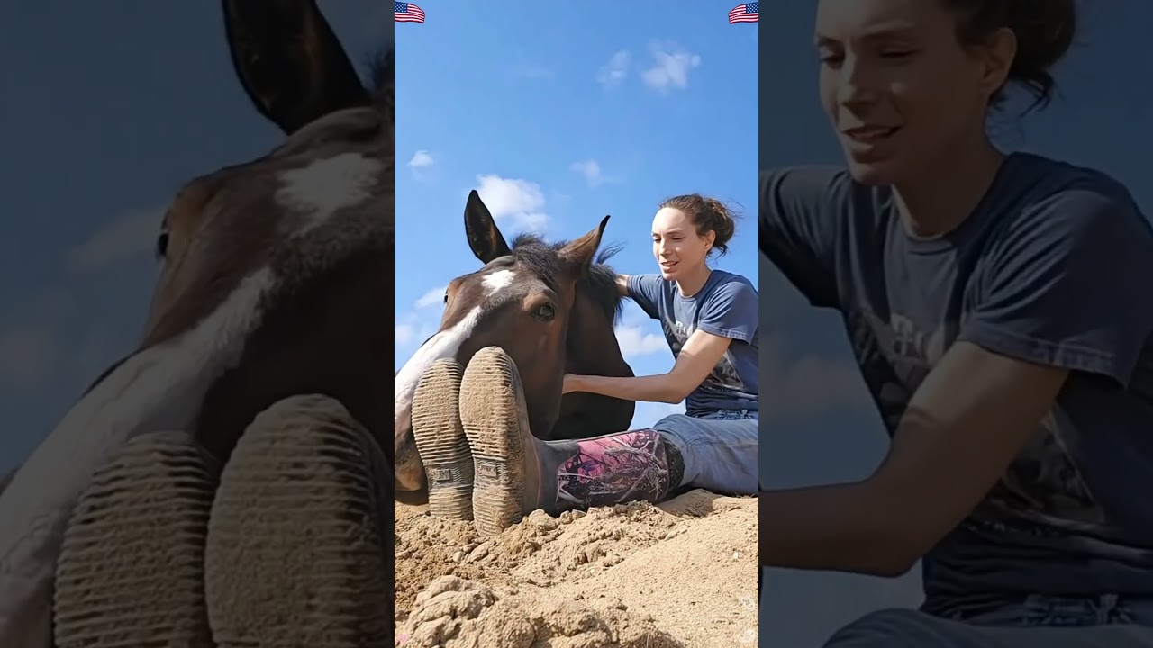 This is unconditionalt love ❤️ #fyp #horses #horsesonyoutube #love #animal lovers #horse #love