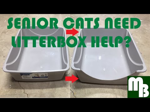 Older Senior Cat not using litter box pan or spraying? How to modify Litter Box Pan make it easier!