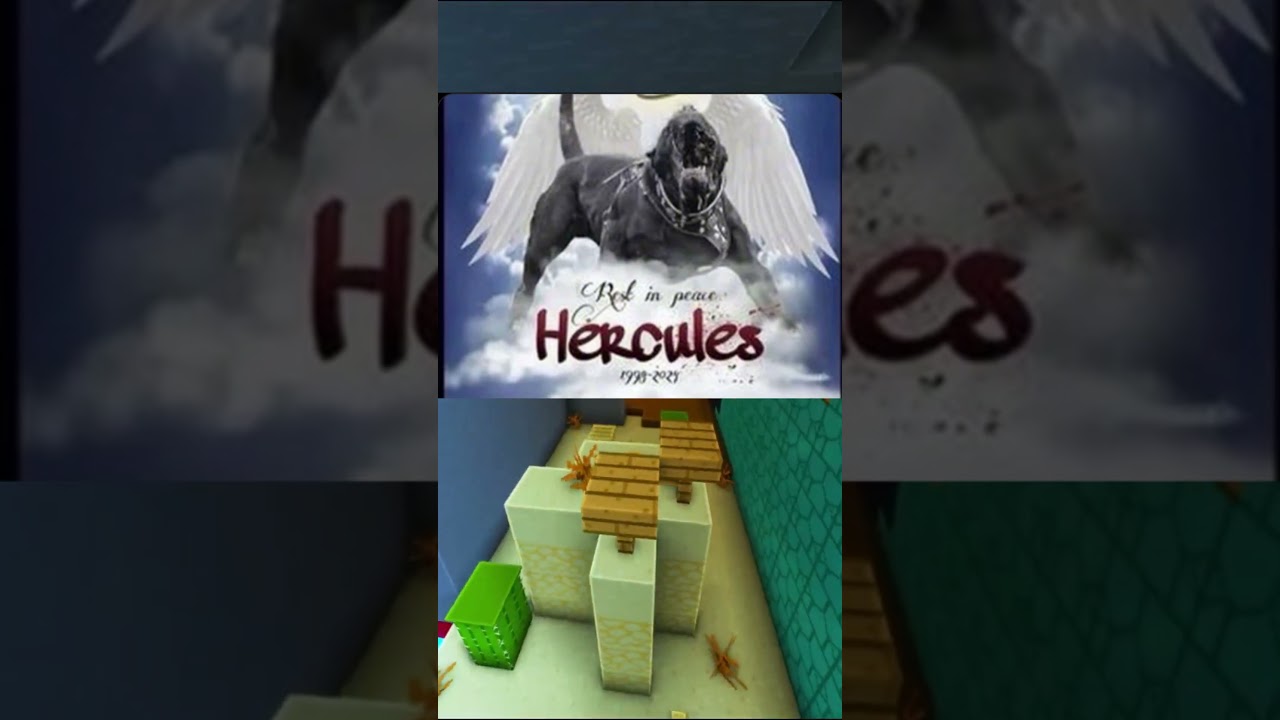 Daily Memes #11 #memes #dankememes #funny  #meme