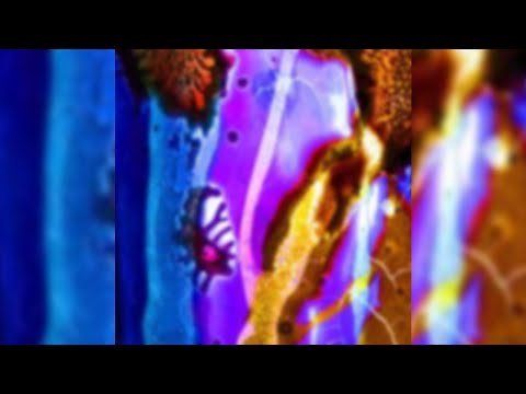 Mace - Ragazzi della Nebbia - Testo (Feat.FSK SATELLITE,Irama)