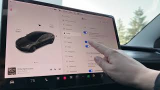 How to enable Tesla to unlock passenger doors from outside (in settings)