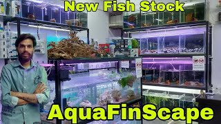 New Update Fish Stock | All India Delivery AQUAFINSCAPE