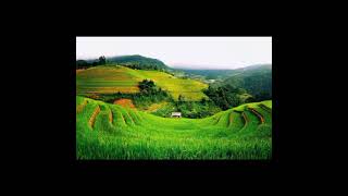 Download lagu story wa madura//. dear tetangga mp3