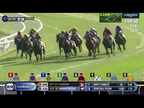 Hong Kong Mile Golden Sixty