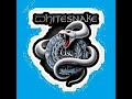 Whitesnake - "Spit It Out"