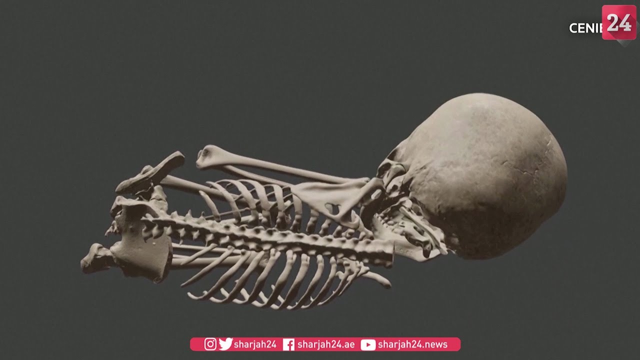 Image for the title: Youtube Image