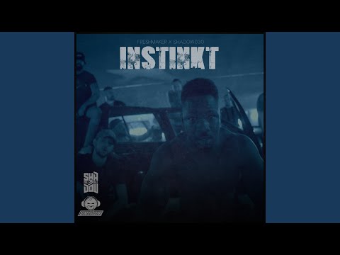 Instinkt (feat. Shadow030)