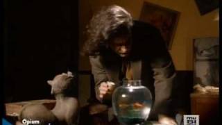 Opium - Daniel Bélanger