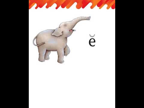 Lesson 1  and review 2