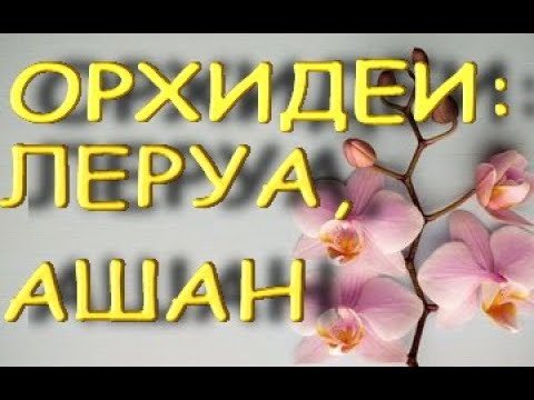 ЛЕРУА,Ашан:ЗАВОЗЫ прекрасных ОРХИДЕЙ,23.04.21,ТЦ "Космопорт",Самара.