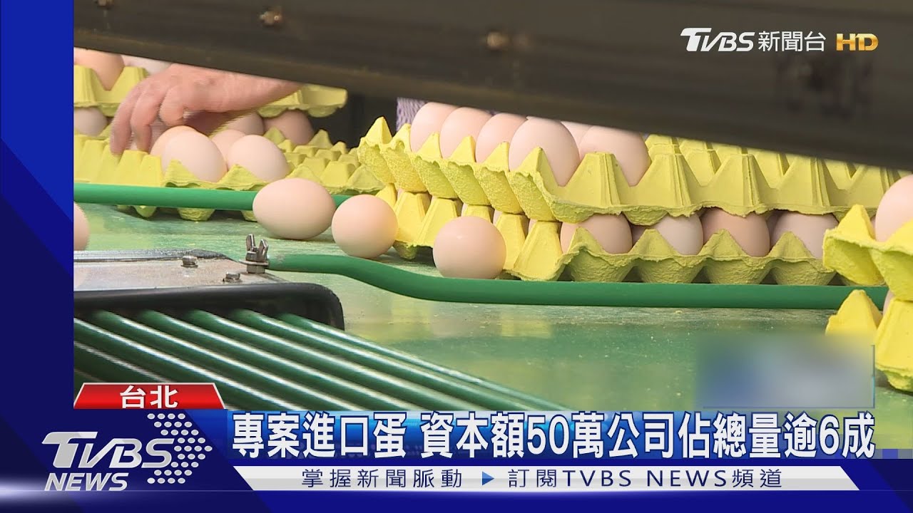 專案進口蛋 資本額50萬公司佔總量逾6成