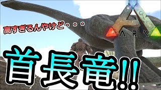 【ARK】#07 お墓と首長竜と・・・ｗ 【ARK Survival Evolved 実況】