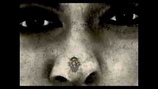 The Legendary Pink Dots - Kingdom of the Flies