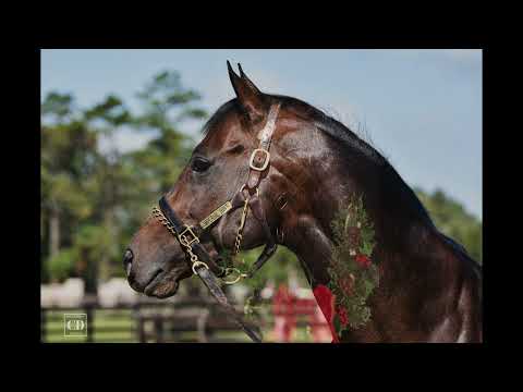 Imperial Hint Memorial