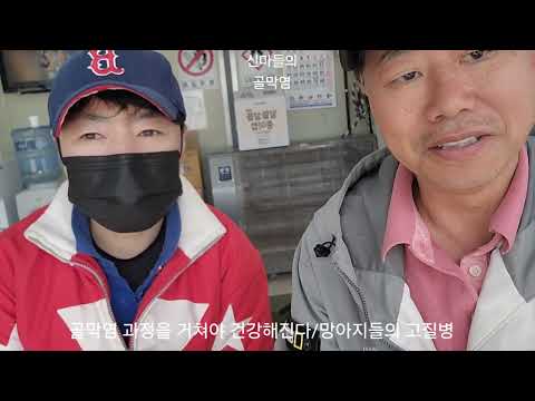 신마들의 고통 골막염/골막염은 어린말들이 거쳐가야 하는 질병/골막염 때문에 파행하고 골막염 강도에 따라 장기 휴양도 해야된다