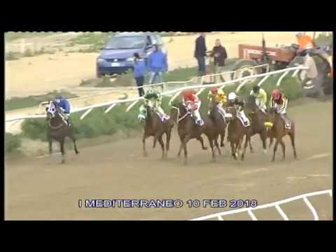 Galoppo Corse del 10 Febbraio 2018