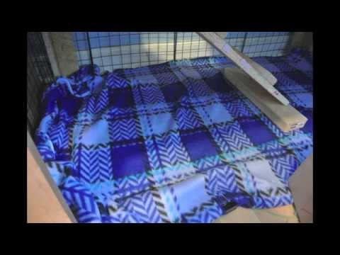How to Clean Your Fleece Rabbit or Guinea Pig Cage!