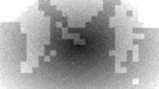 The Suitor Song, Their Eyes Were Watching God