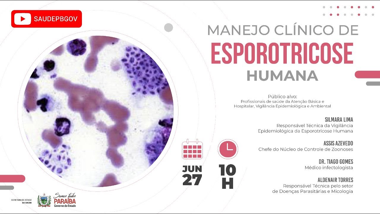 Tiago Monteiro Gomes-8