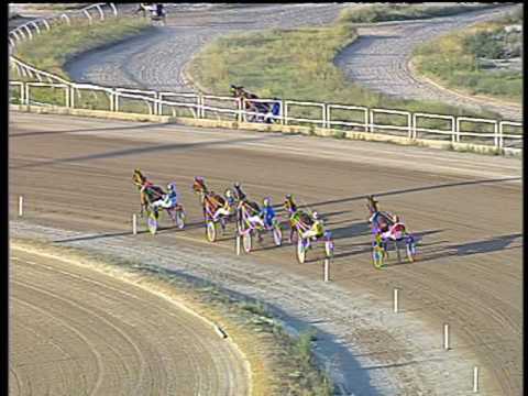 Trotto 24/06/2017 - 1ª prova di qualifica