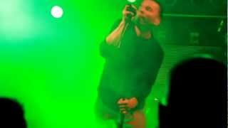 NEIGHBOURS -Camouflage