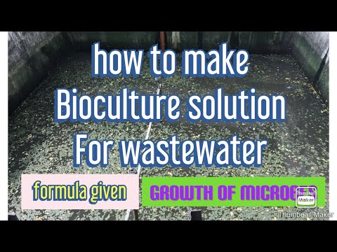 Bio Culture Bacteria Solution