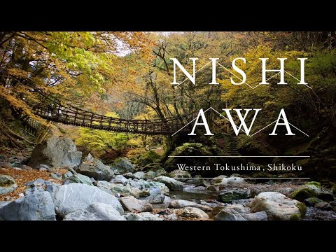 Rhythms of Fall | Nishi-Awa, Japan