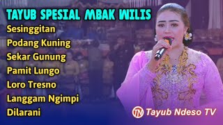 Download lagu GAYENG‼️TAYUB SPESIAL MBAK WILIS FULL ALBUM PALING JOSSS mp3