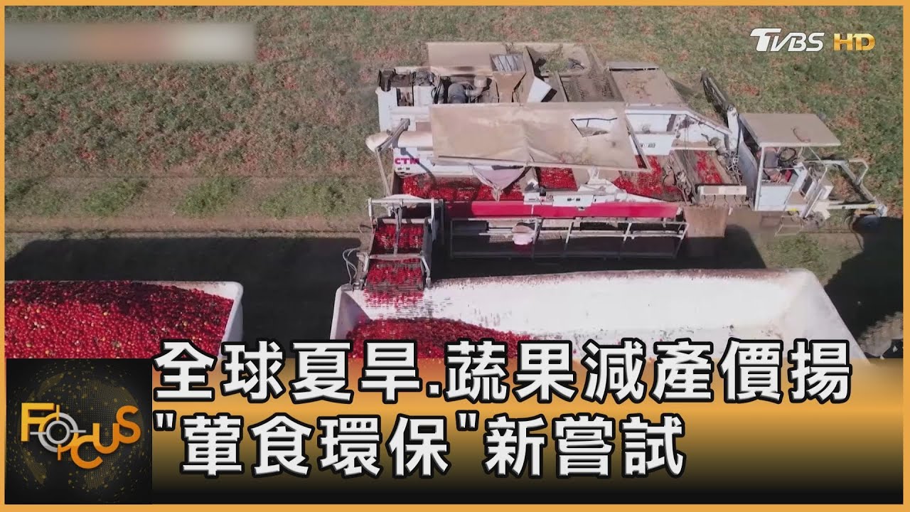全球夏旱.蔬果減產價揚 「葷食環保」新嘗試