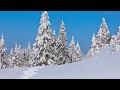 Relaxing Peaceful Instrumental Music, Flute, Violin and Harp  "Mountain Pine" By Tim Janis