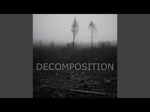Decomposition