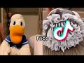 Donald Ducc Tiktok Compilation Best Donald Ducc Tiktok Donald Duck Tiktok