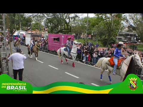 AO VIVO - 7 de Setembro, Independência do Brasil! Desfile Cívico Telêmaco Borba