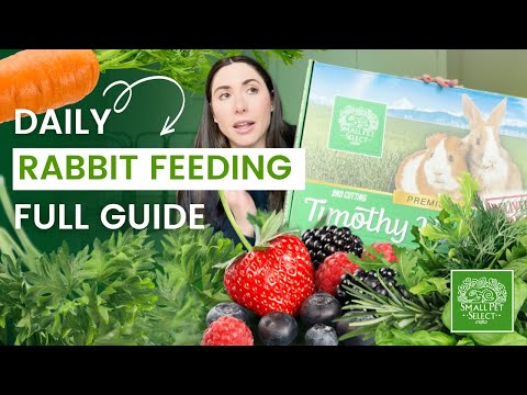 What To Feed Your Rabbit Everyday (A Rabbit Food & Diet Guide)