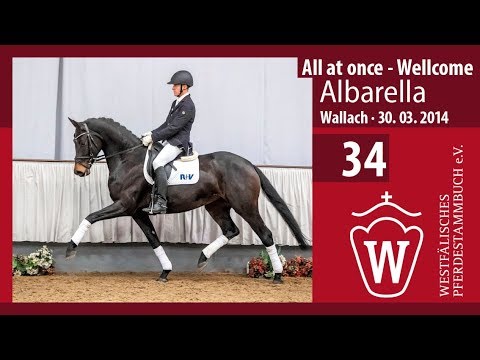 34 Albarella Stute v. All at Once - Wellcome