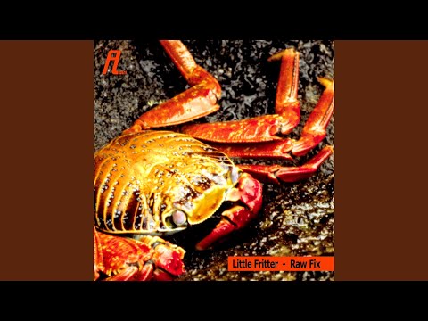 Raw Fix (Egal 3 Remix)