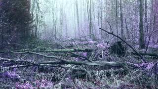 vattnet viskar -  barren earth (2012) vattnet viskar